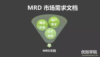 技術(shù)型產(chǎn)品人必備 產(chǎn)品開(kāi)發(fā)流程與技術(shù)服務(wù)實(shí)戰(zhàn)指南